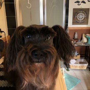 Meet your Posher, Sandra j